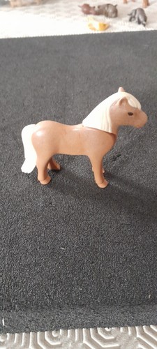 Animal poney centre equestre - poney,