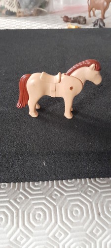 Animal poney centre equestre - animal,