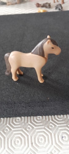Animal poney centre equestre - centre,
