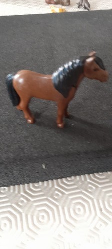 Animal poney centre - centre, equestre