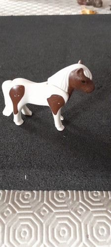 Animal poney centre - poney,